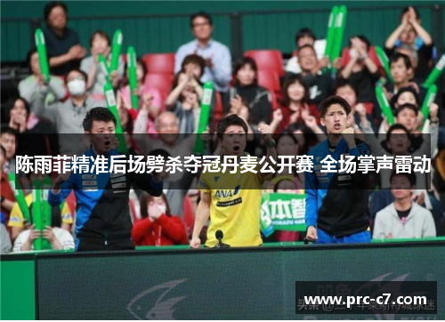 陈雨菲精准后场劈杀夺冠丹麦公开赛 全场掌声雷动